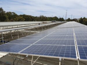 affitto copertura superiore di allevamenti per progetti fotovoltaici